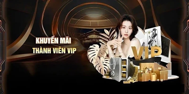 Đặc quyền cho VIP giá trị