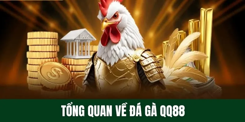 Tổng quan về đá gà QQ88